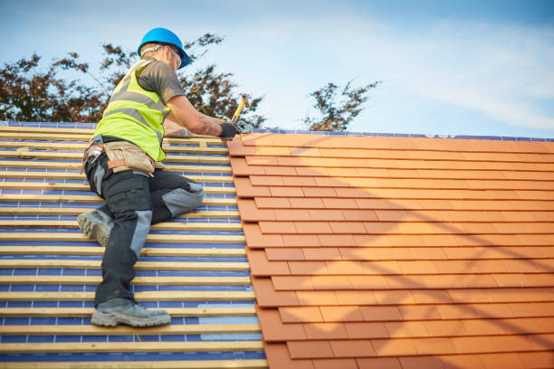 Best Chimney Flashing Repair  in Germantown, IL